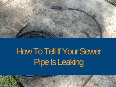 sewer leak in yard|How to Tell if Sewer Pipe is Leaking in Yard